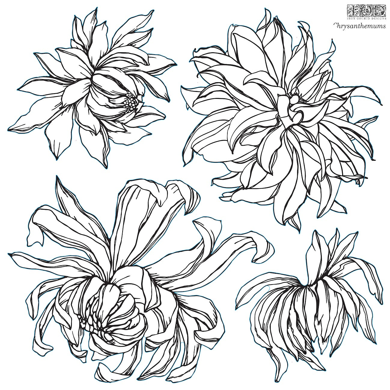 IOD Stamp Chrysanthemum